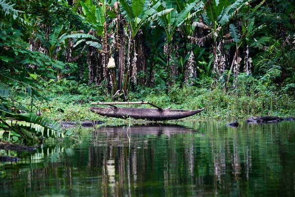 Lago Balinsasayao en Dumaguete en la isla de Negros, Filipinas — Foto de Stock