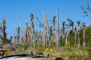 sonra süper tayfun Malapascua ada yolanda