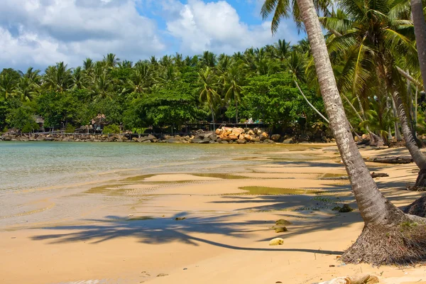 Tropisk strand, exotiska palmer på sanden, thailand. — Stockfoto