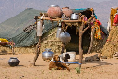 pushkar, Hindistan yakınlarında çölde yalnız ev