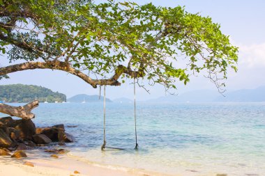 Tayland 'daki güzel tropikal plaj