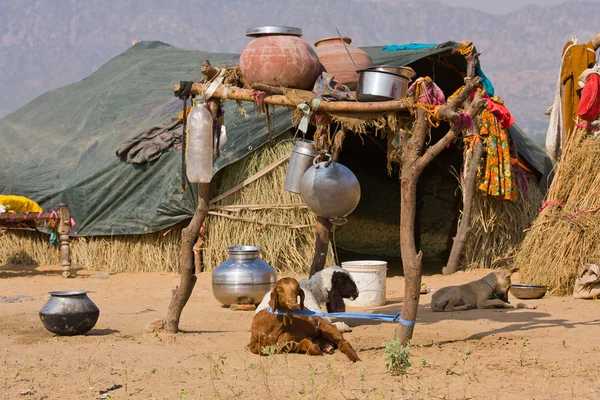 Eenzame huis in de woestijn in de buurt van pushkar, india — Stockfoto