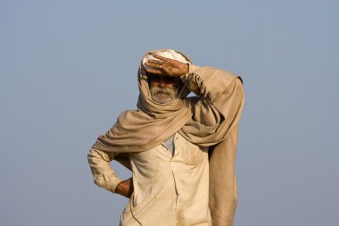 Pushkar rajasthan deve mela (pushkar deve Fuarı), Hindistan.