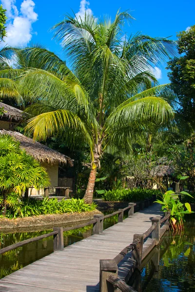 Trä gångväg i tropiska hotell, thailand — Stockfoto