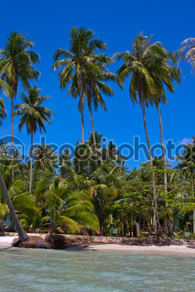 Palm trees and beach, Thailand. — Stock Photo © OlegDoroshenko 47924615