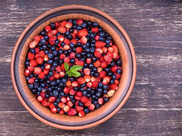 Erdbeeren und Blaubeeren, Waldbeeren — Stockfoto