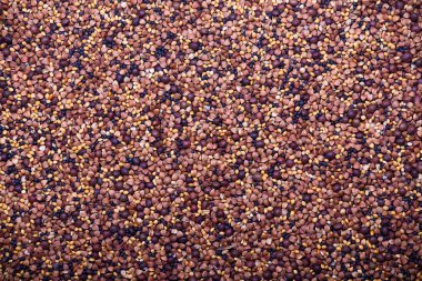 arka plan karışık tohum