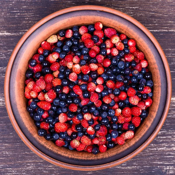 Çilek ve yaban mersini, yaban berry — Stok fotoğraf