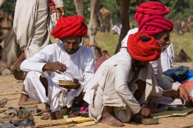 Pushkar rajasthan Fuar (pushkar deve mela), Hindistan