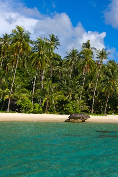 Playa tropical con palmeras exóticas — Foto de Stock