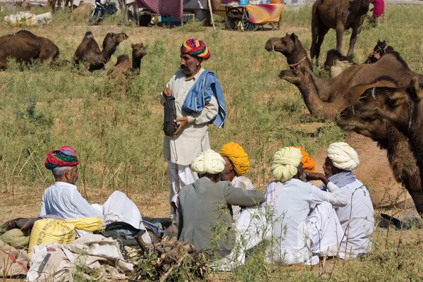 Pushkar Fair ( Pushkar Camel Mela ) Rajasthan, India — Stock Photo, Image