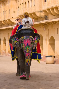 jaipur, rajasthan, Hindistan fil dekore edilmiş.