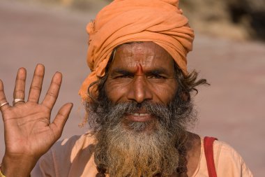 Hint sadhu, kutsal adam