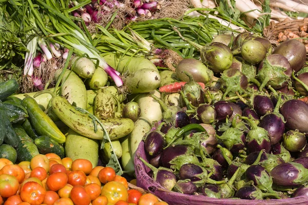 Viele verschiedene ökologische Gemüsesorten auf dem Markt in Indien — Stockfoto