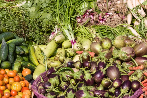 Muitos vegetais ecológicos diferentes no mercado na Índia — Fotografia de Stock
