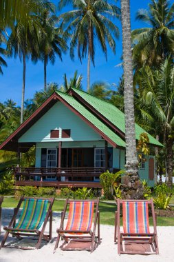 tropikal beach, Tayland