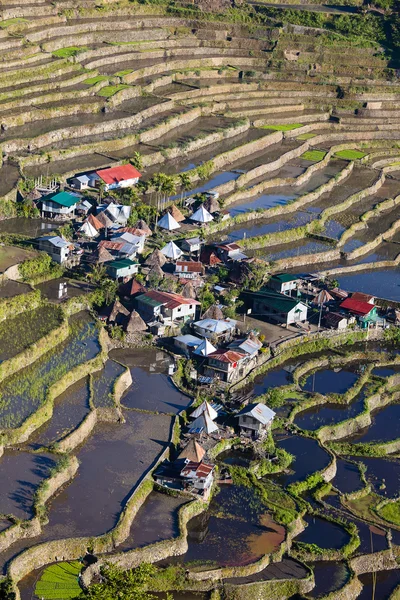 Terraços em Batad, Filipinas — Fotografia de Stock