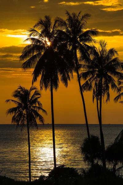 Magnifique coucher de soleil sur la plage — Photo