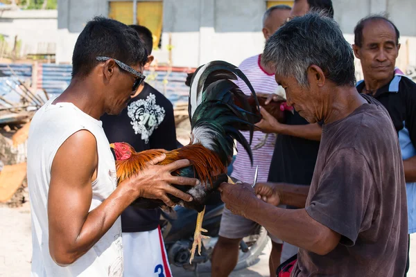 Homens não identificados durante a tradicional competição filipina de luta de galos . — Fotografia de Stock