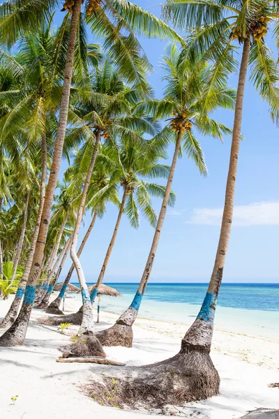 Tropická pláž, Filipíny — Stock fotografie
