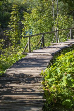 Plitvice gölleri ve Ulusal Park 'taki dağ ormanları boyunca tırabzanlar olan ahşap bir yol. Hırvatistan, Orta Avrupa, seyahat ve doğa kavramı