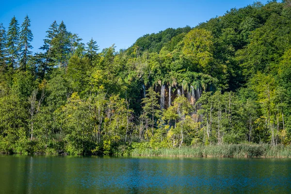 Wspaniały Widok Jeziora Plitwickie Zielony Las Wodospad Parku Narodowym Chorwacja — Zdjęcie stockowe
