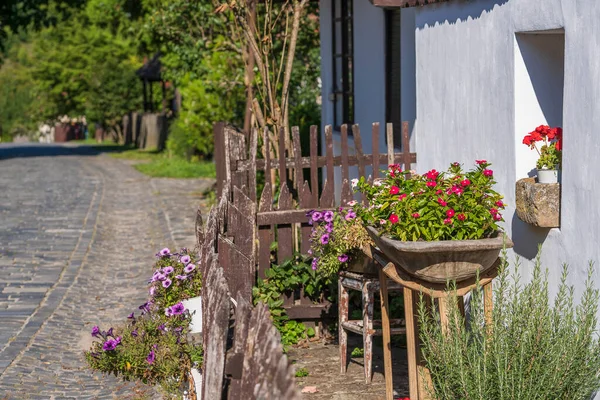 Altes Bauernhaus Und Hof Mit Blumen Ethnographischen Dorf Holloko Ungarn — Stockfoto