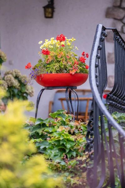 Schöner Dekorativer Roter Blumentopf Mit Blumen Auf Der Treppe Haus — Stockfoto