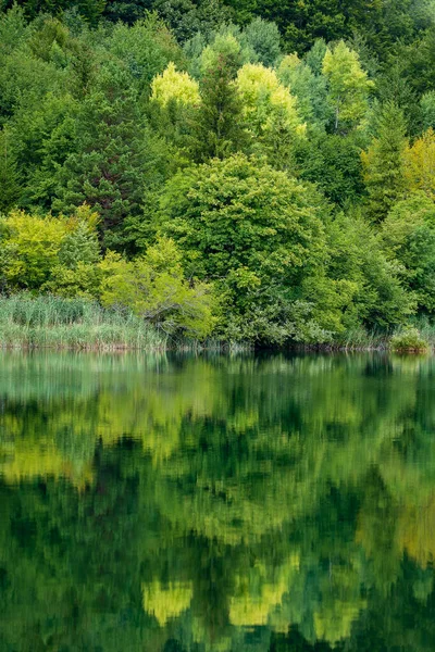 Csodálatos Kilátás Nyílik Plitvicei Tavak Nemzeti Parkra Horvátország Közép Európa — Stock Fotó