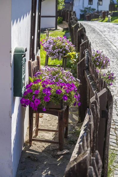 Altes Bauernhaus Und Hof Mit Blumen Ethnographischen Dorf Holloko Ungarn — Stockfoto