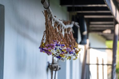 Macaristan 'ın Holloko kasabasında bahçedeki kuru limonyum sinuatum ya da kermek çiçekleri.