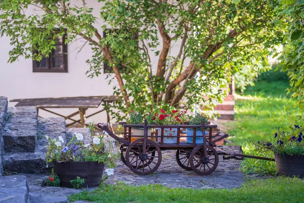 Garden Composition Wooden Rustic Cart Bright Flowers Yard Ethnographic Village — Stock Photo, Image