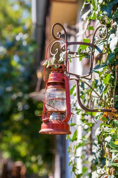 Uma Única Lanterna Querosene Vermelho Velho Pendurado Contra Fundo Jardim — Fotografia de Stock