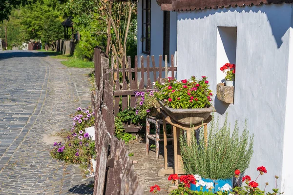 匈牙利Holloko人种学村的古老农村房屋和庭院 鲜花盛开 是教科文组织的一个世界遗产 — 图库照片