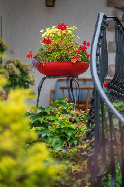 Schöner Dekorativer Roter Blumentopf Mit Blumen Auf Der Treppe Haus — Stockfoto