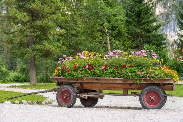 Carro Rústico Con Flores Brillantes Pueblo Montaña Los Dolomitas Italia — Foto de Stock