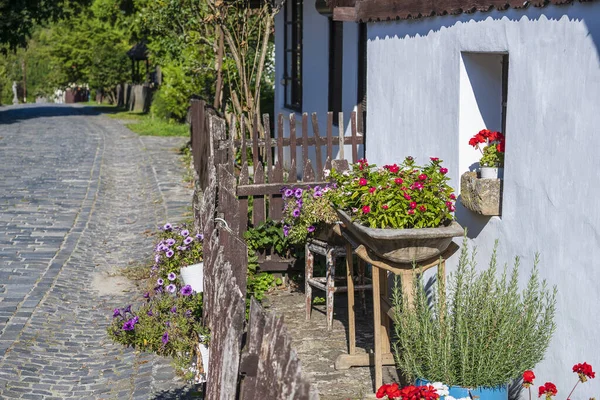 Antigua Casa Rural Patio Con Flores Pueblo Etnográfico Holloko Hungría —  Fotos de Stock