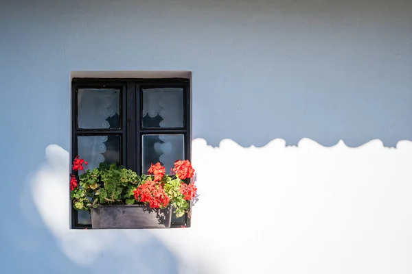 Träfönster Ett Gammalt Gårdshus Med Färgglada Krukväxter Den Etnografiska Byn — Stockfoto