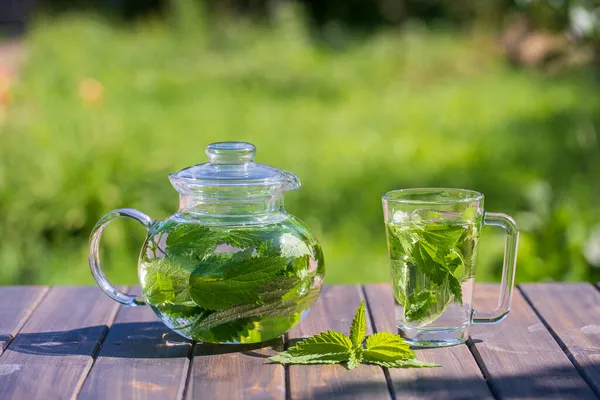 Ortiga Saludable Una Olla Vidrio Taza Jardín Verano Mesa Madera —  Fotos de Stock