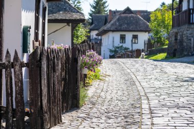 Macaristan 'daki Holloko köyünde çiçekli eski kırsal ev ve bahçe ve UNESCO Dünya Mirası Sitesi