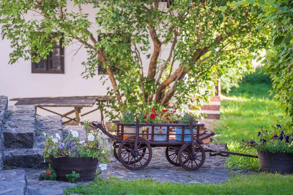 Garden Composition Wooden Rustic Cart Bright Flowers Yard Ethnographic Village — Stock Photo, Image