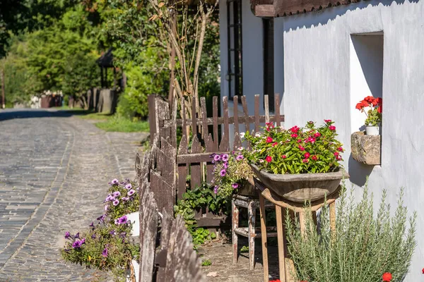 Antigua Casa Rural Patio Con Flores Pueblo Etnográfico Holloko Hungría —  Fotos de Stock