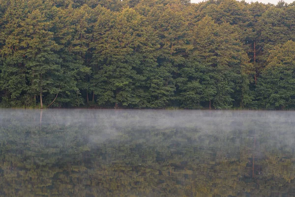 Floresta Verde Junto Lago Reflexão Água Calma Nevoeiro Sobre Água — Fotografia de Stock