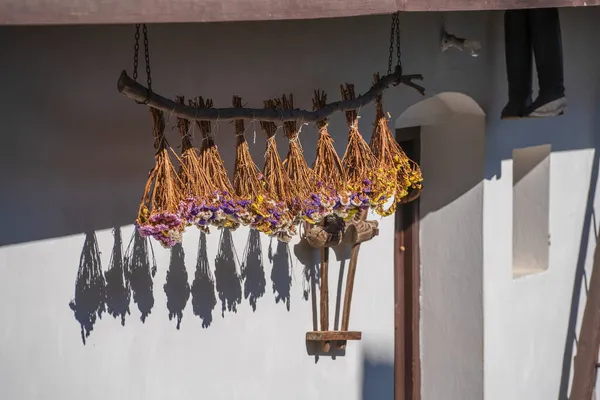 Suché Limonium Sinuatum Nebo Kermek Květiny Dvorku Etnografické Vesnici Holloko — Stock fotografie