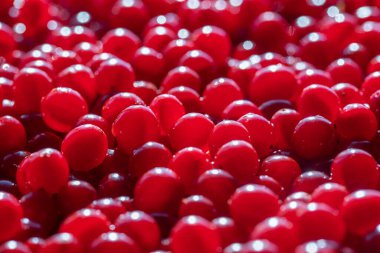 Kırmızı viburum ya da guelder gülü hasat et, yakın çekim, üst manzara. Kırmızı viburnum arkaplanlı güzel bir doku.