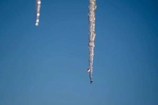 Frysta Istappar Isolerade Blå Himmel Bakgrund Solig Vårdag Närbild — Stockfoto