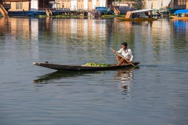 Srinagar, Hindistan - Temmuz 03, 2015: Dal Gölü 'nde yaşam tarzı, Hindistan' ın Srinagar, Jammu ve Kashmir eyaletlerinde küçük bir taşımacılık teknesi olan Shikara 'yı kullanıyor. Teknedeki Hintli adam.