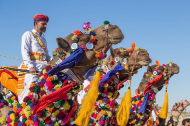 Jaisalmer, Hindistan - 09 Şubat 2017: Geleneksel Rajasthani elbisesi giyen Hintli adam Jaisalmer, Rajasthan 'da Çöl Festivali kapsamında Bay Çöl yarışmasına katıldı. Kapat.