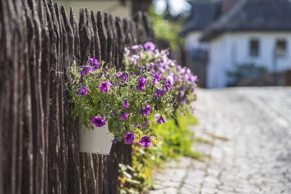 Old Rural Wooden Fence Flowers Street Ethnographic Village Holloko Hungary — Stock Photo, Image