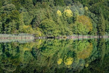 Plitvice Lakes Ulusal Parkı 'nın harika manzarası. Hırvatistan, Orta Avrupa, seyahat ve doğa kavramı